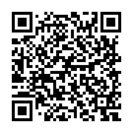 QR code for plate 3LP 991