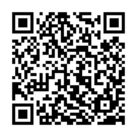 QR code for 3LV 494
