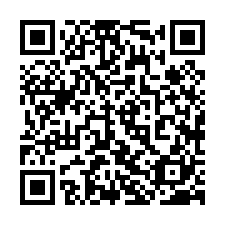 QR code for plate 3LX 020