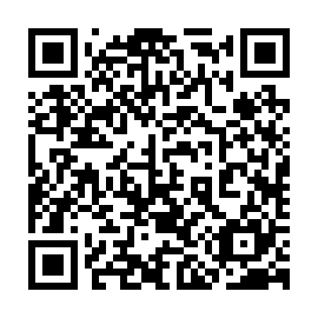 QR code for 3M 2225