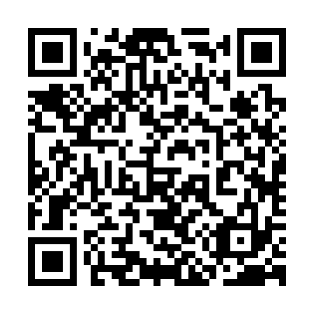 QR code for 3M 2333