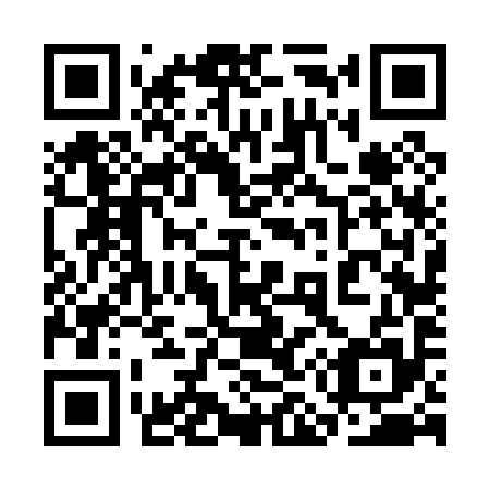 QR code for 3M 6095