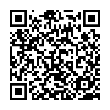 QR code for plate 3M 3325