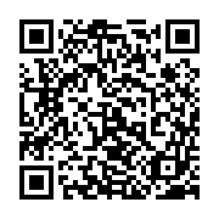 QR code for plate 3M 9153
