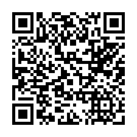 QR code for plate 3M 9617