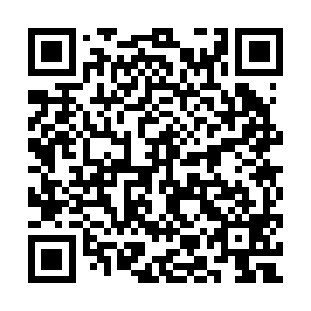 QR code for 3MS 299