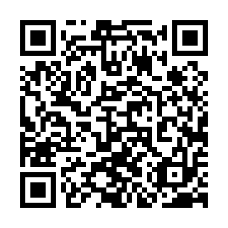 QR code for plate 3MT 113
