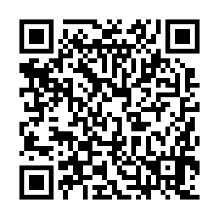 QR code for 3N 0294