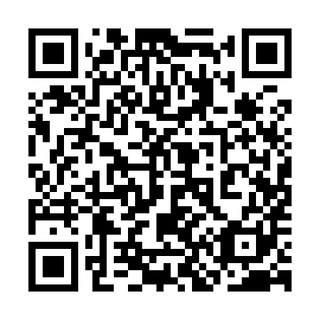 QR code for 3N 1981