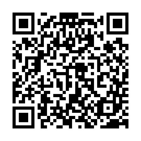 QR code for 3N 3743