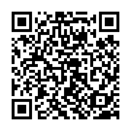 QR code for 3N 6638