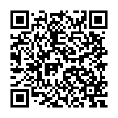 QR code for 3N9597