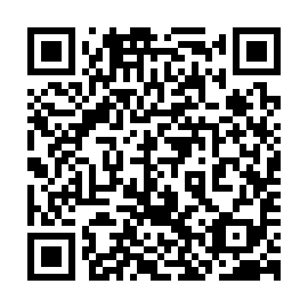 QR code for plate 3NS 399
