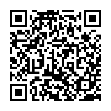 QR code for plate 3NS 903