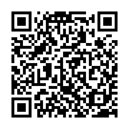 QR code for 3NS991