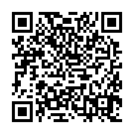 QR code for plate 3NV 384