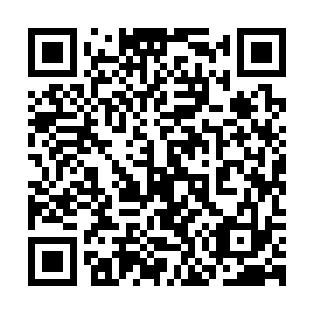 QR code for 3O 9333