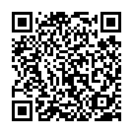 QR code for plate 3O 3638