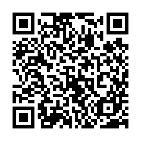 QR code for plate 3O 9687