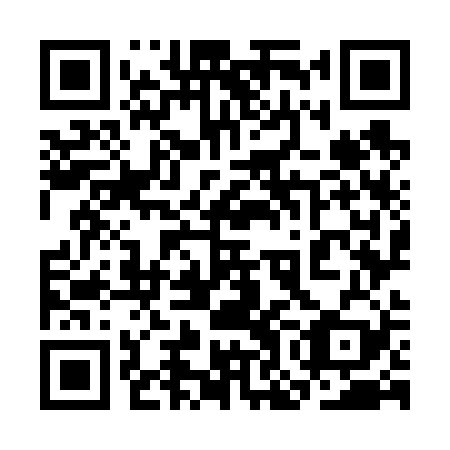 QR code for plate 3OO 629