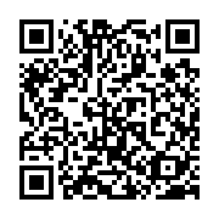 QR code for 3P 1729