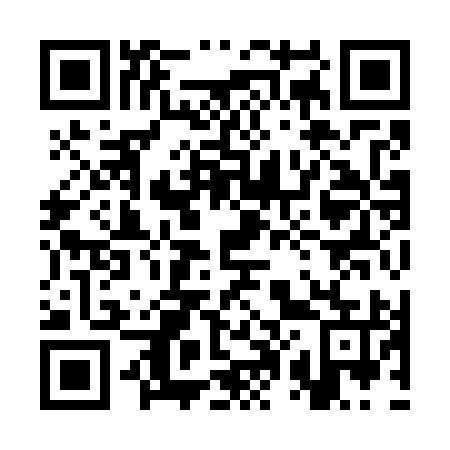 QR code for 3P 9795