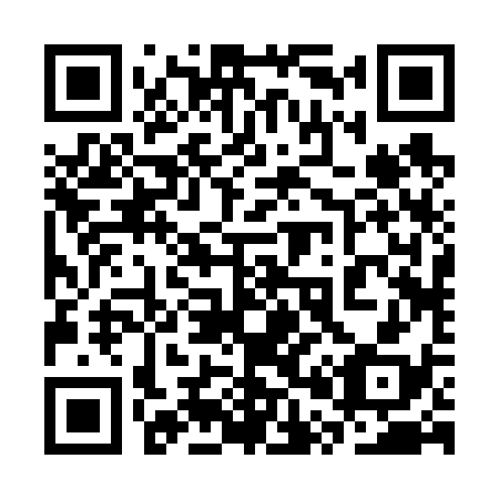 QR code for plate 3P 2638