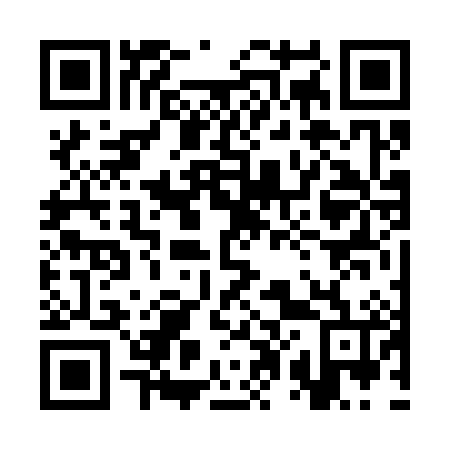 QR code for plate 3P 6386