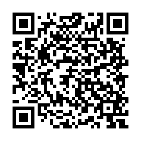 QR code for plate 3P 8541