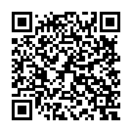 QR code for 3PG863