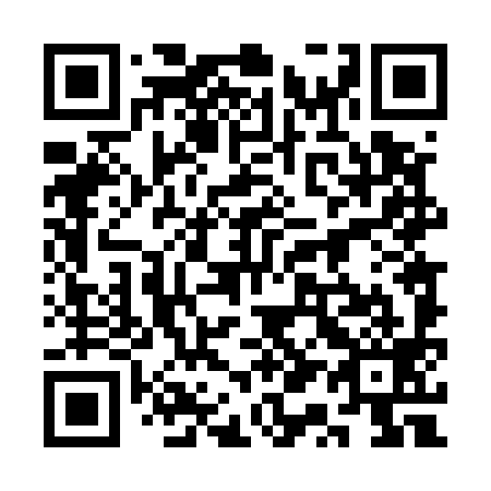 QR code for 3Q 4599