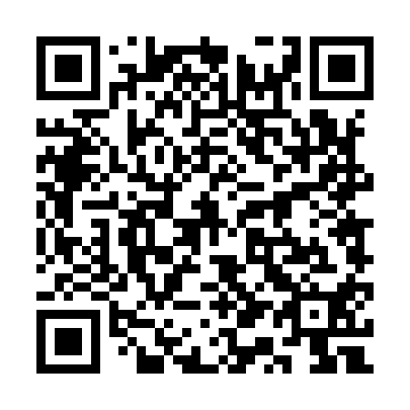 QR code for plate 3Q 4910