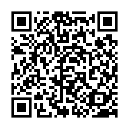 QR code for plate 3Q 5729