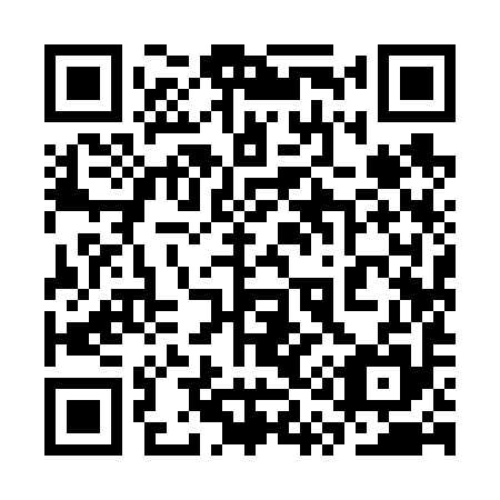 QR code for plate 3Q 9695