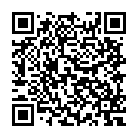 QR code for plate 3R 9597