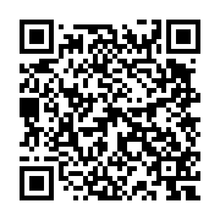 QR code for plate 3RO 413