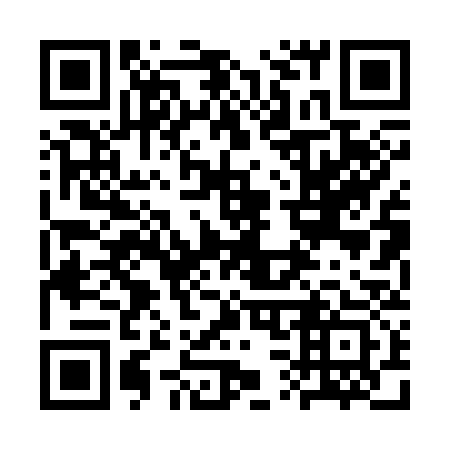 QR code for 3S 0333