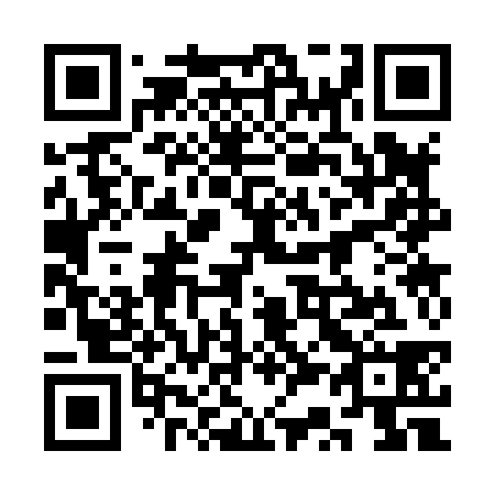 QR code for 3S 3838