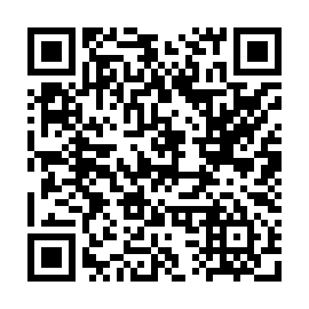 QR code for 3S 3895