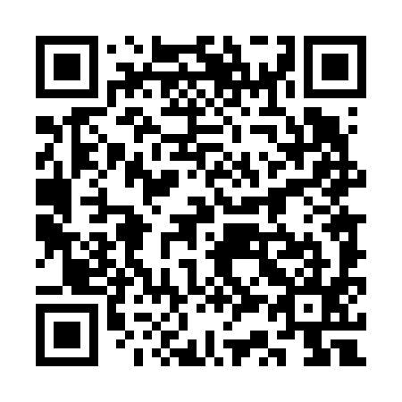 QR code for 3S 4695