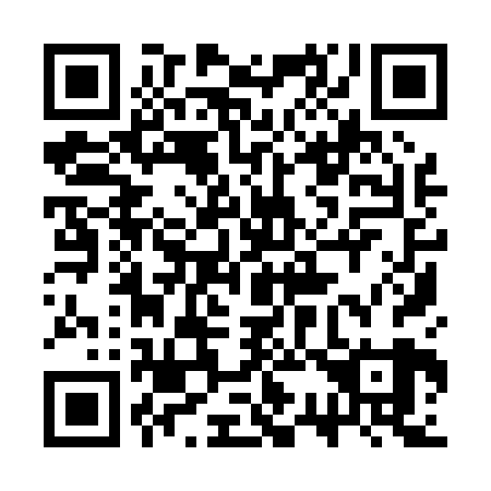 QR code for 3S 9029