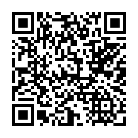 QR code for 3S 9695