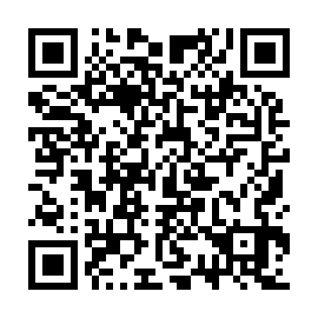 QR code for 3S 9933