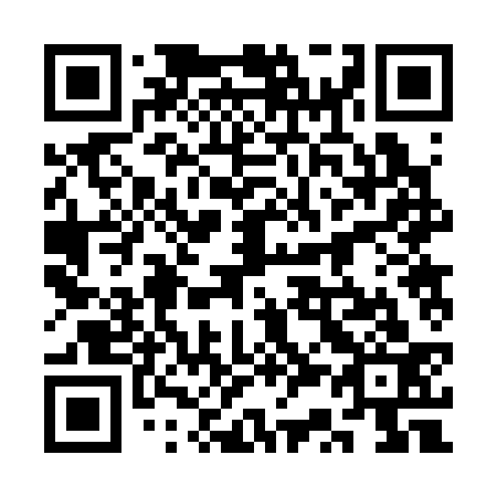 QR code for plate 3S 2333