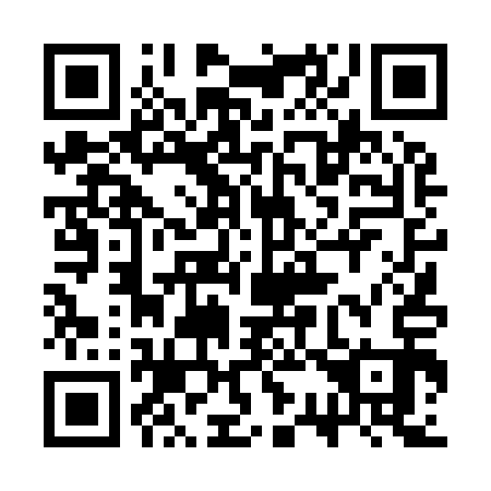 QR code for plate 3S 4913