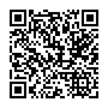 QR code for plate 3S 6347