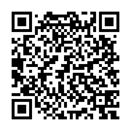 QR code for plate 3S 7538