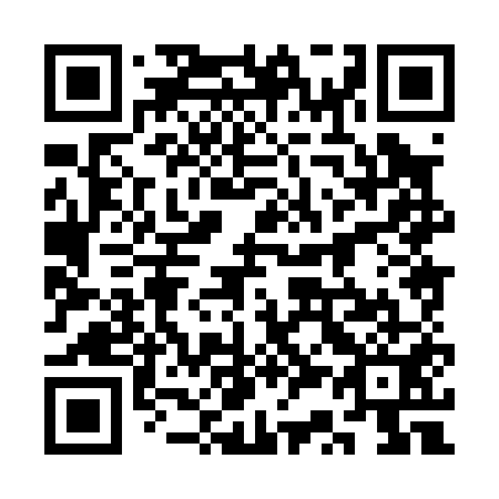 QR code for plate 3S 8051