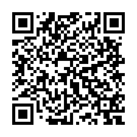 QR code for plate 3SK 510