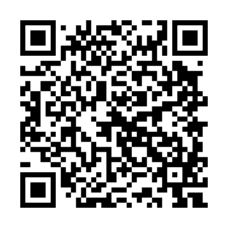 QR code for plate 3SM 085
